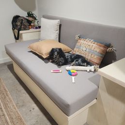 Pet friendly is the way to go
