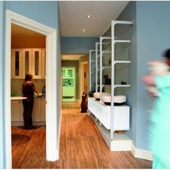 Kitten to Cat - Veterinarians Near Me - London, XGL Kitten to Cat - Veterinarians Near Me - London, XGL