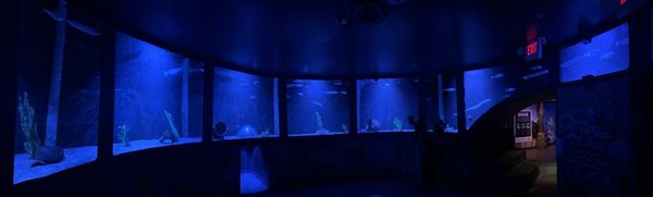 SEA LIFE Arizona Aquarium by null