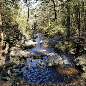 Enders State Forest - Parks Near Me - Granby, Connecticut