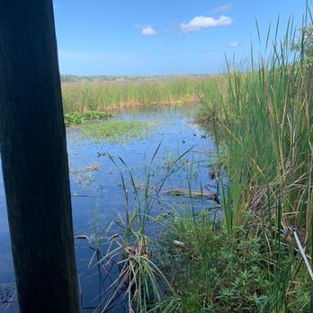 John Chesnut Sr Park - Parks Near Me - Palm Harbor, Florida