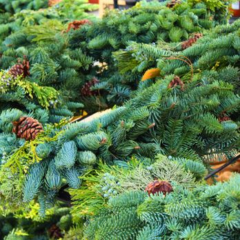 Star Nursery - Nurseries & Gardening Near Me - Mesquite, Nevada Star Nursery - Nurseries & Gardening Near Me - Mesquite, Nevada