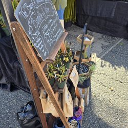 Everett Farmers Market - Bug eating plants