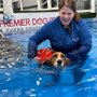 Premier Dog Sports & Event Center