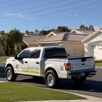 Cobra Property Services - Pest Control Near Me - Las Vegas, Nevada Cobra Property Services - Pest Control Near Me - Las Vegas, Nevada