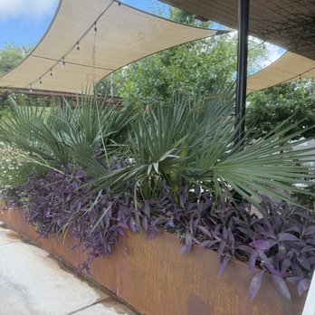 Bureau de Poste / French Bistro - French Near Me - Austin, Texas