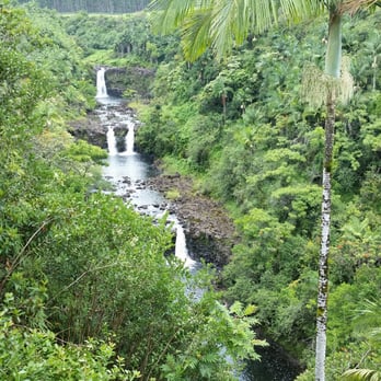 The Umauma Experience - Ziplining Near Me - Hakalau, Hawaii The Umauma Experience - Ziplining Near Me - Hakalau, Hawaii