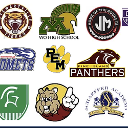 Enhanced Driving Institute - The Best Driver's Education for your school! Choose EDI.