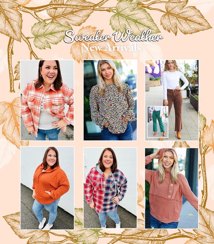 Sugar Bear Boutique Image