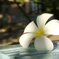Koy Massage à domicile pour femmes