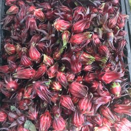 Fresh Jamaica