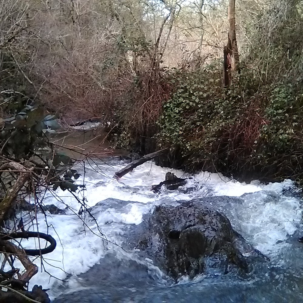 Hidden Falls Regional Park - Parks Near Me - Auburn, California Hidden Falls Regional Park - Parks Near Me - Auburn, California