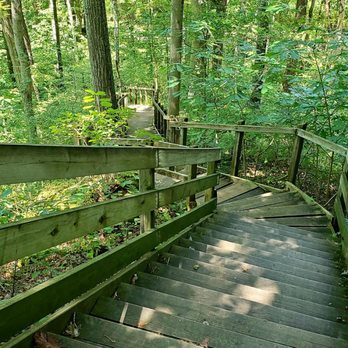 Cincinnati Nature Center - Well maintained steps - Hiking Near Me - Milford, Ohio Cincinnati Nature Center - Well maintained steps - Hiking Near Me - Milford, Ohio