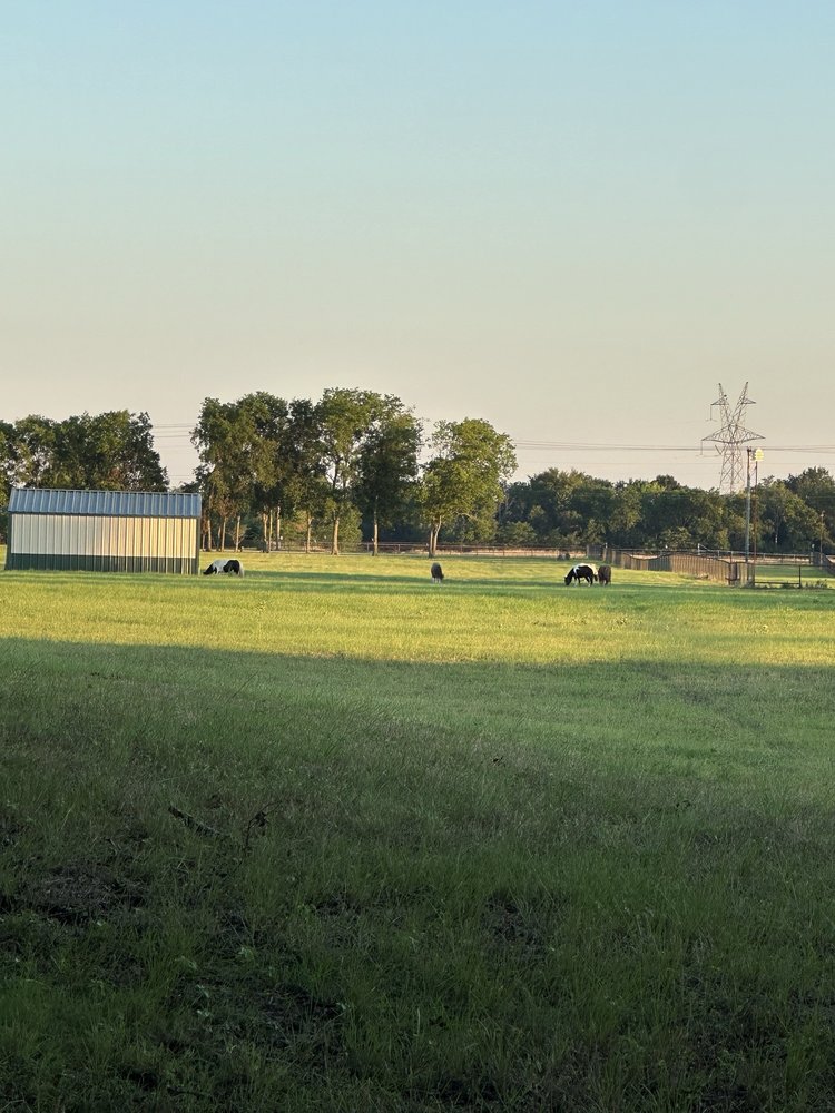 Wylie Community Park Image