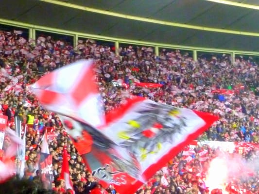 Ernst Happel Stadium by null