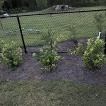 Don B Davis Memorial Dog Park - Big side - Dog Parks Near Me - St. Augustine, Florida