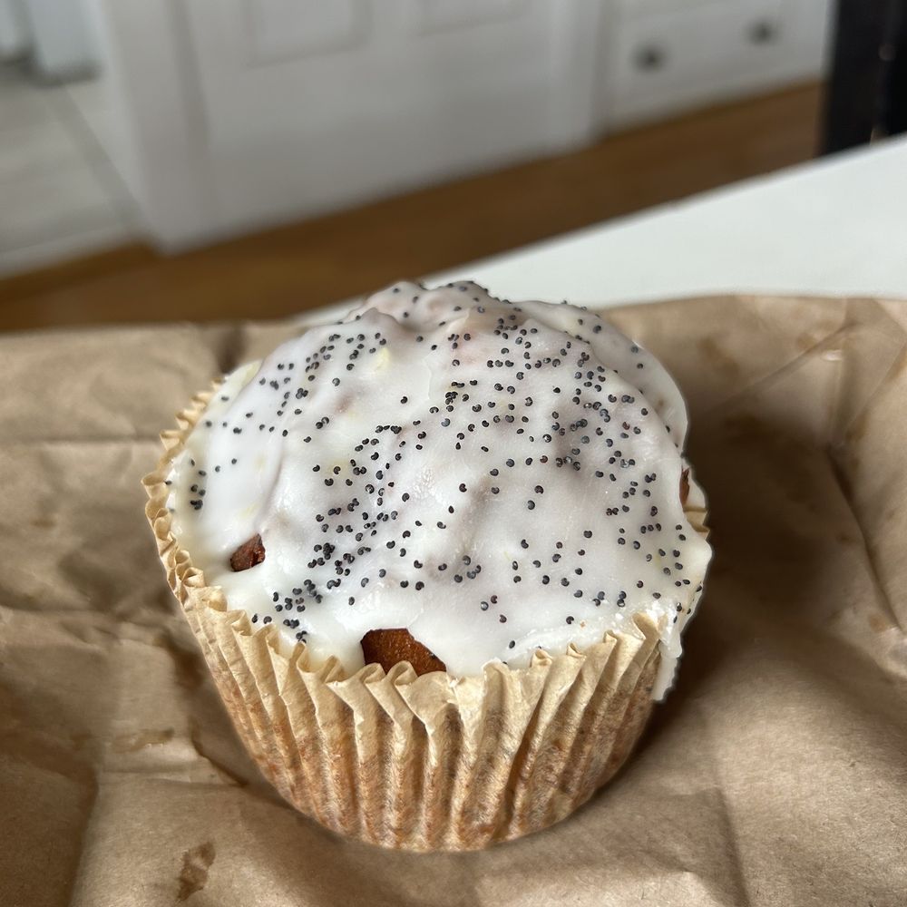 Circus Cooperative Cafe - lemon poppyseed muffin - Cafes Near Me - Cambridge, Massachusetts