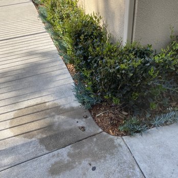 Passage at Buena Vista - Dog poop everywhere and this Is on a good day. - Apartments Near Me - Vista, California Passage at Buena Vista - Dog poop everywhere and this Is on a good day. - Apartments Near Me - Vista, California