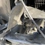Photo of Renew Auto Body & Paint