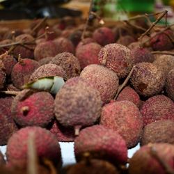 Brothers Farmers Market - Lychee