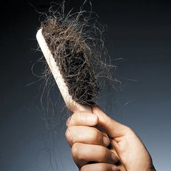Hair & Beauty Treatment Center - Untitled