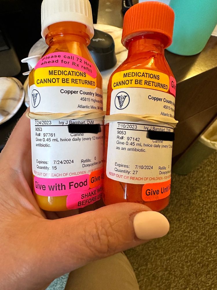COPPER COUNTRY VETERINARY CLINIC Updated September 2024 11 Photos