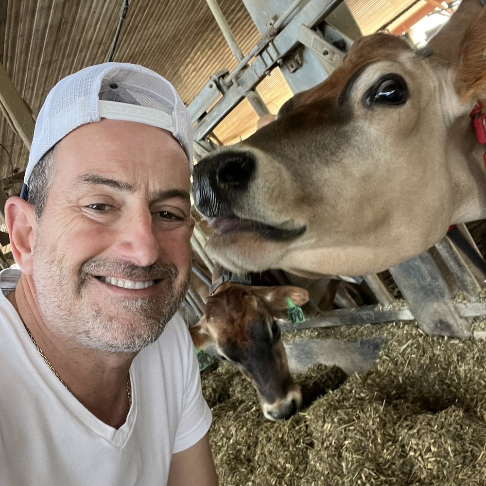 High Lawn Farm - a man and a cow - Specialty Food Near Me - Lee, Massachusetts High Lawn Farm - a man and a cow - Specialty Food Near Me - Lee, Massachusetts