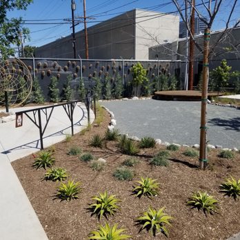 Salty Bear Brewing - Salty Bear Brewing - Breweries Near Me - Costa Mesa, California