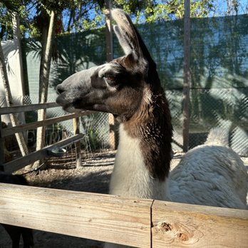Tinez Farms - Attraction Farms Near Me - Miami, Florida Tinez Farms - Attraction Farms Near Me - Miami, Florida