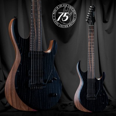 Our Most Popular Model: the Aries - Since its introduction in 2015, the Aries has remained the most popular Kiesel Guitars model to this day. A spinoff spawned in 2020 called the Neck-through Aries. Its prominent optional top bevel, tummy cut, and upper fret access makes the Aries a fan-favorite for guitarists of any style.