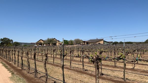 Perissos Vineyard and Winery by null