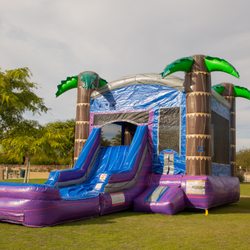 Chill Vibes & Slides