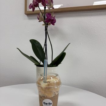 The Fin Coffee - Corn Cream Latte - Coffee & Tea Near Me - Murrieta, California The Fin Coffee - Corn Cream Latte - Coffee & Tea Near Me - Murrieta, California