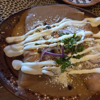 Maiz Cocina Mexicana - Enfrijoladas - Mexican Near Me - San Antonio, Texas Maiz Cocina Mexicana - Enfrijoladas - Mexican Near Me - San Antonio, Texas