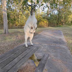 Country Escape RV Park