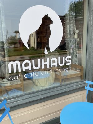 Mauhaus Cat Cafe by null
