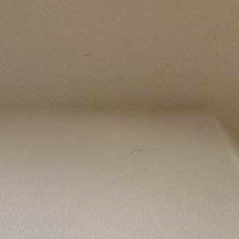 Oregon Beach Vacations - Several webs on ceiling - Vacation Rentals Near Me - Lincoln City, Oregon