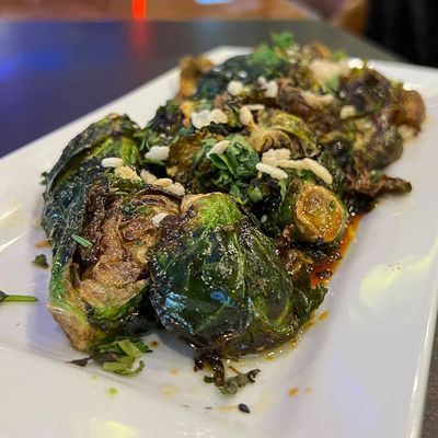 Boulder Social by null