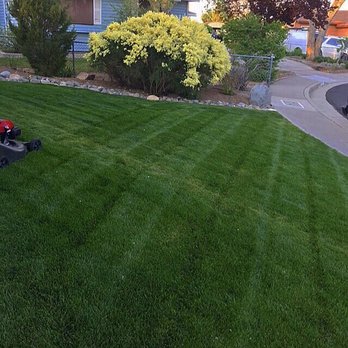 LCL Landscaping - After completed job and weekly maintenance done by LCL Landscaping - Landscaping Near Me