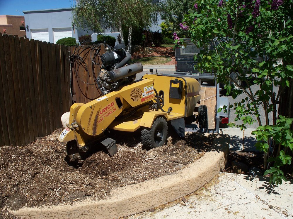 Riverside Arborist - tree service in Albuquerque, NM