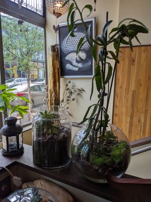Chabaa Thai Bistro by null