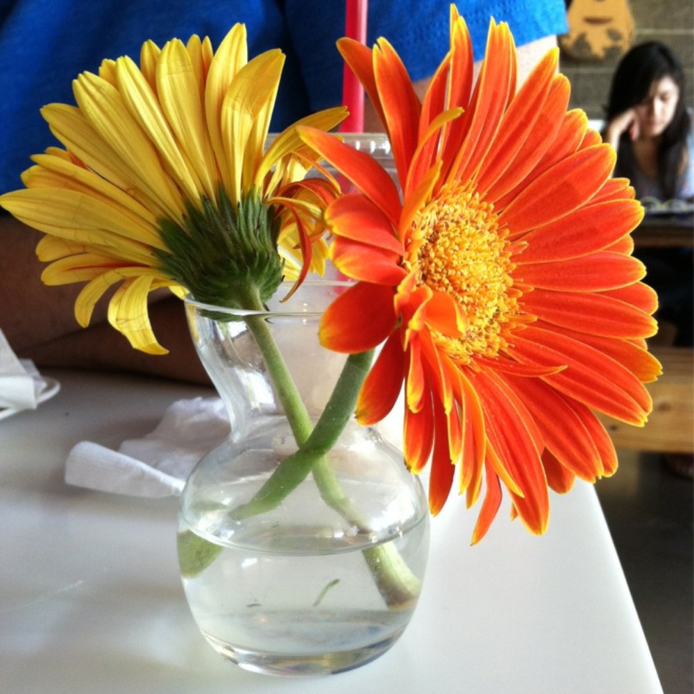 Giant Coffee - Flowers on each table. - Coffee & Tea Near Me - Phoenix, Arizona Giant Coffee - Flowers on each table. - Coffee & Tea Near Me - Phoenix, Arizona