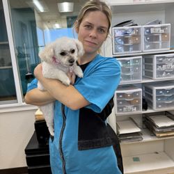 Shear Canine - Dog grooming