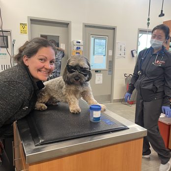 Veterinary Emergency Group - Having an amazing time with the VEG staff! - Emergency Pet Hospital Near Me - San Jose, California Veterinary Emergency Group - Having an amazing time with the VEG staff! - Emergency Pet Hospital Near Me - San Jose, California