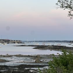 Harborview Motel & Cottages