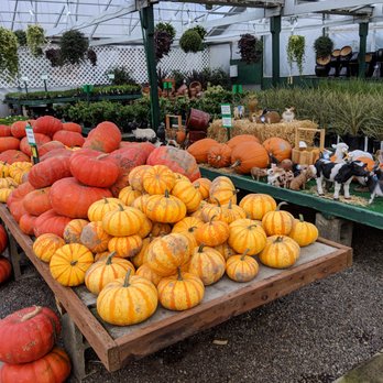 Flower World - Fall produce. - Nurseries & Gardening Near Me - Snohomish, Washington