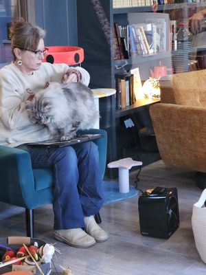 Catzen Coffee by null