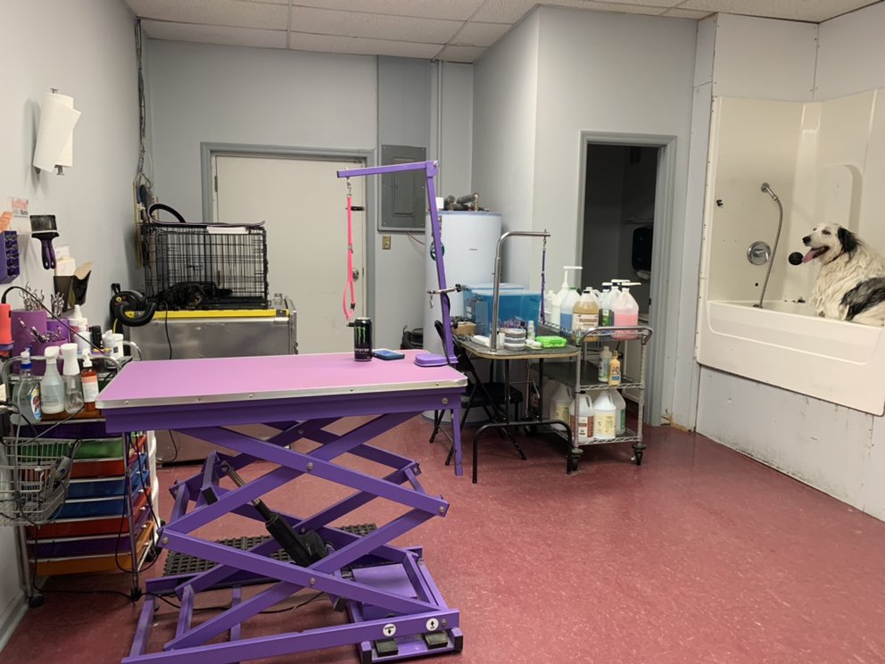 HEAVEN SENT PET GROOMING Updated August 2024 Crab Orchard, Kentucky Pet Groomers Phone