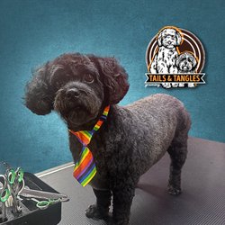 FurPets Grooming Giftly Beautiful Gift Card Alternative