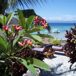 Magic Island Dive Resort - View from the bar